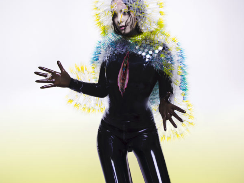 Vulnicura