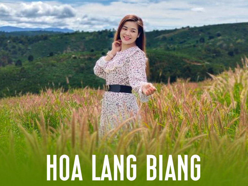 Hoa Lang Biang (Single)