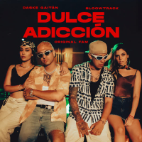 DULCE ADICCÍON (Single)