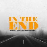 In the end (Single)