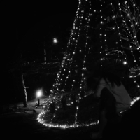 ธันวาคมจริงๆ.. (Single)