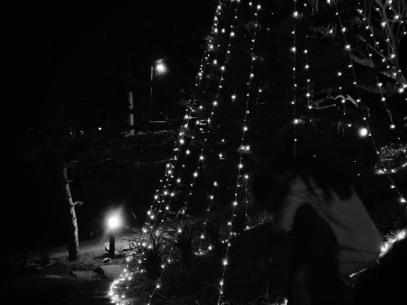 ธันวาคมจริงๆ.. (Single)