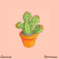 succulent (Single)
