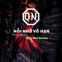 Nỗi Nhớ Vô Hạn (Quý Nhỏ Remix) (Single)