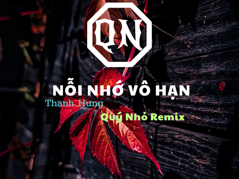 Nỗi Nhớ Vô Hạn (Quý Nhỏ Remix) (Single)