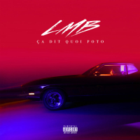 Ça dit quoi poto (Single)