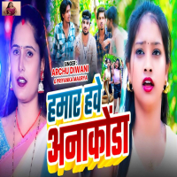 Hamar Hawe Anaconda (Single)