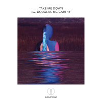 Take Me Down (Single)