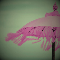 want to be excited (Single)