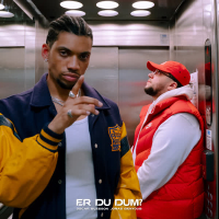 Er Du Dum? (feat. Jonas Benyoub) (Single)