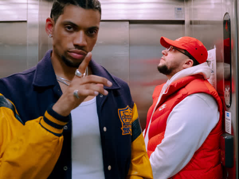 Er Du Dum? (feat. Jonas Benyoub) (Single)