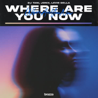 Where Are You Now (Single)