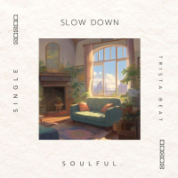 Slow Down (Single)