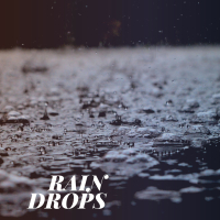 Rain Drops (Single)