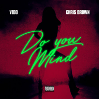 Do You Mind (Single)