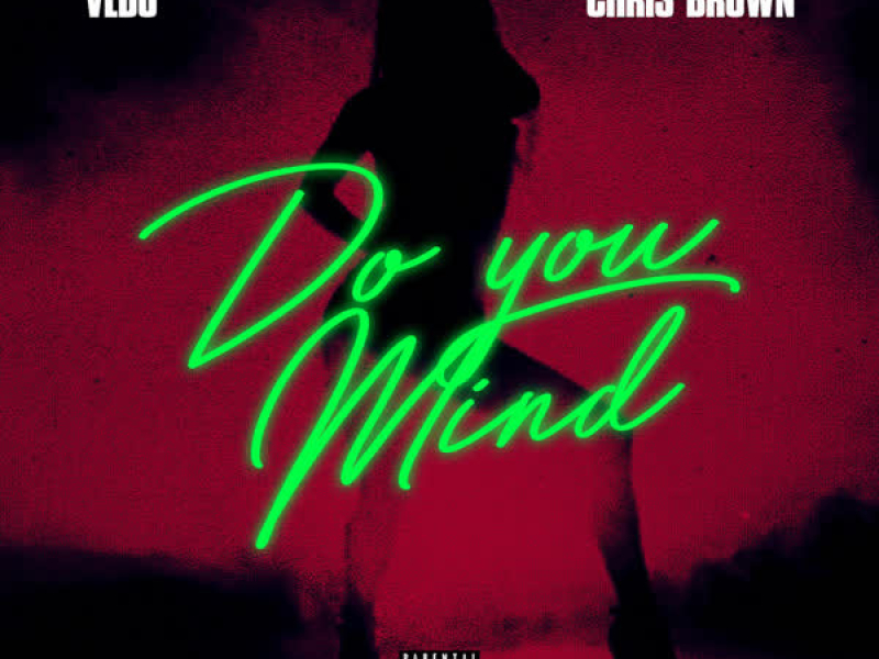 Do You Mind (Single)