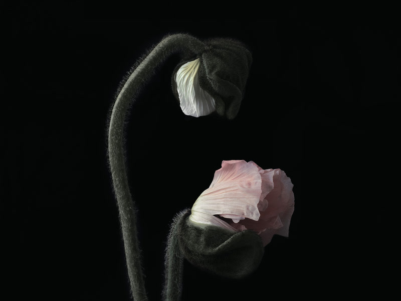 Secrets And Lies (Single)