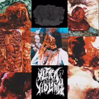 Annihilating the Rotten (feat. Vile Flesh Decaying Remains) (Official)