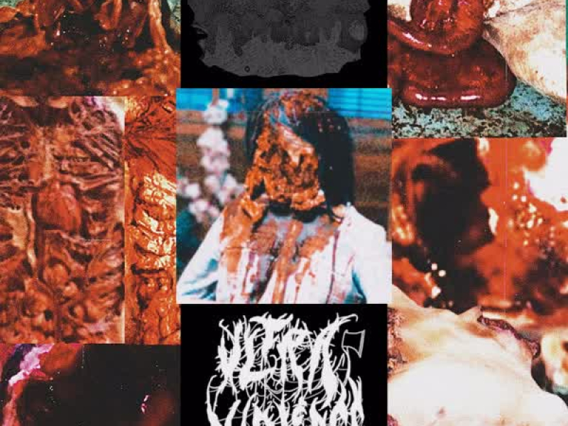 Annihilating the Rotten (feat. Vile Flesh Decaying Remains) (Official)