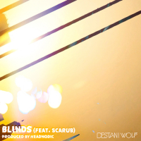Blinds (Single)