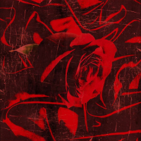 Sexy Lady (Remix) (EP)