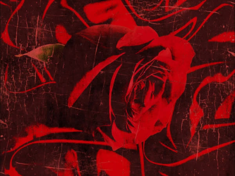 Sexy Lady (Remix) (EP)