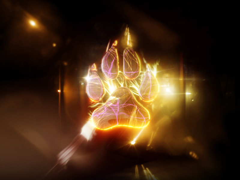 Lose Myself (Single)