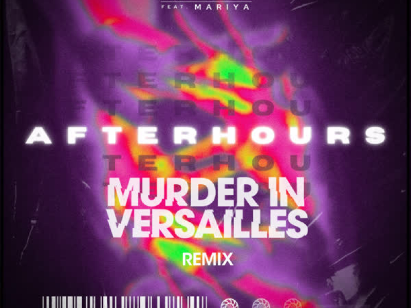 Afterhours (MIV REMIX) (Single)