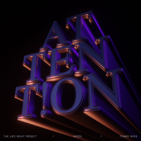 Attention (Single)