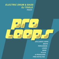 Electric Drum & Bass DJ Tools