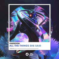 All The Things She Said (Extended Mix) (Single)