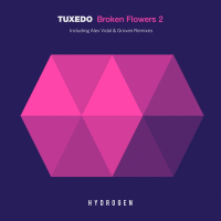 Broken Flower (EP)
