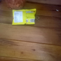 Pintu asmara (Single)