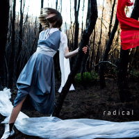 Radical (Single)