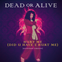 Hurt Me (Did U Have 2 Hurt Me) (Extended Version) (Single)