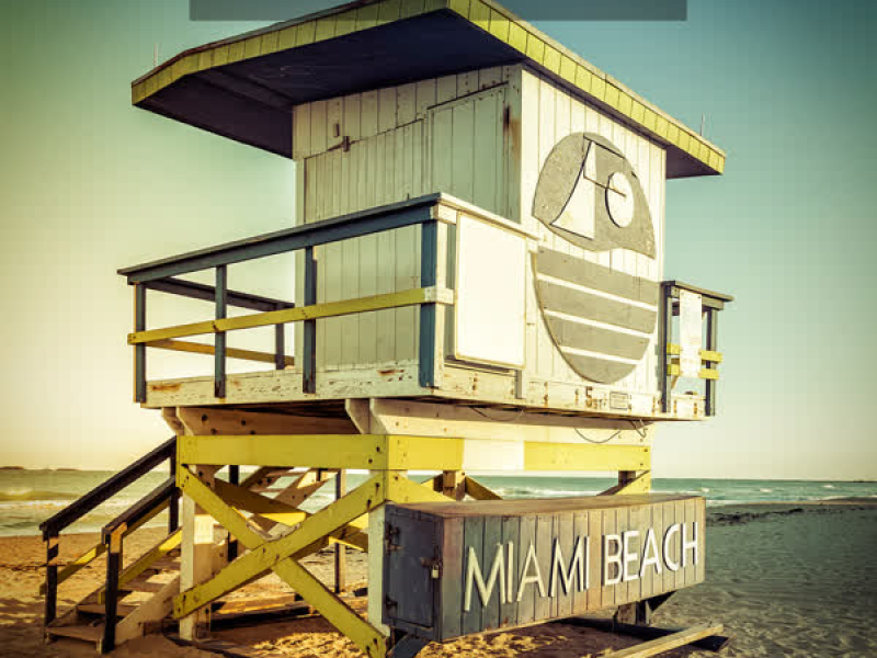 Electroscene Miami 2015