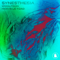 synesthesia (Single)