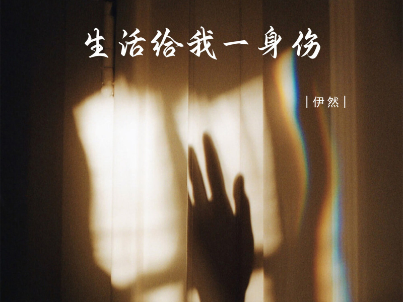 生活给我一身伤 (Single)
