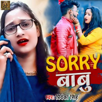 Sorry Babu (Single)