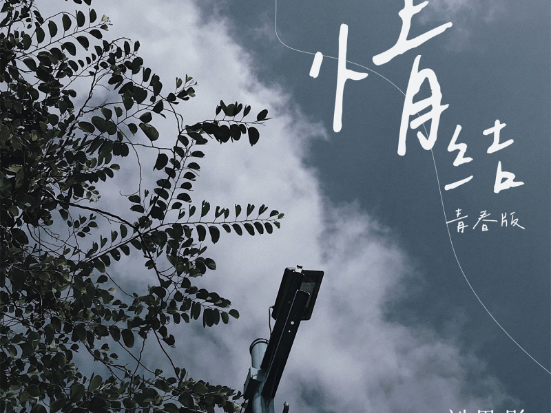 情结 (青春版) (Single)