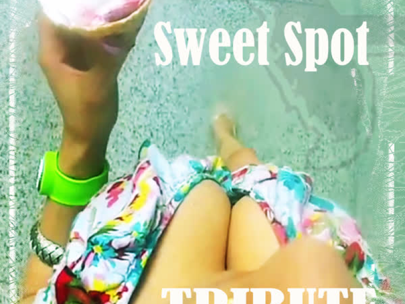 Sweet Spot (feat. Jennifer Lopez Tribute) (Single)