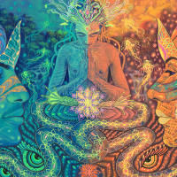 Futah Lawen (Single)