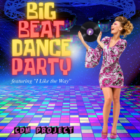 Big Beat Dance Party - Featuring 