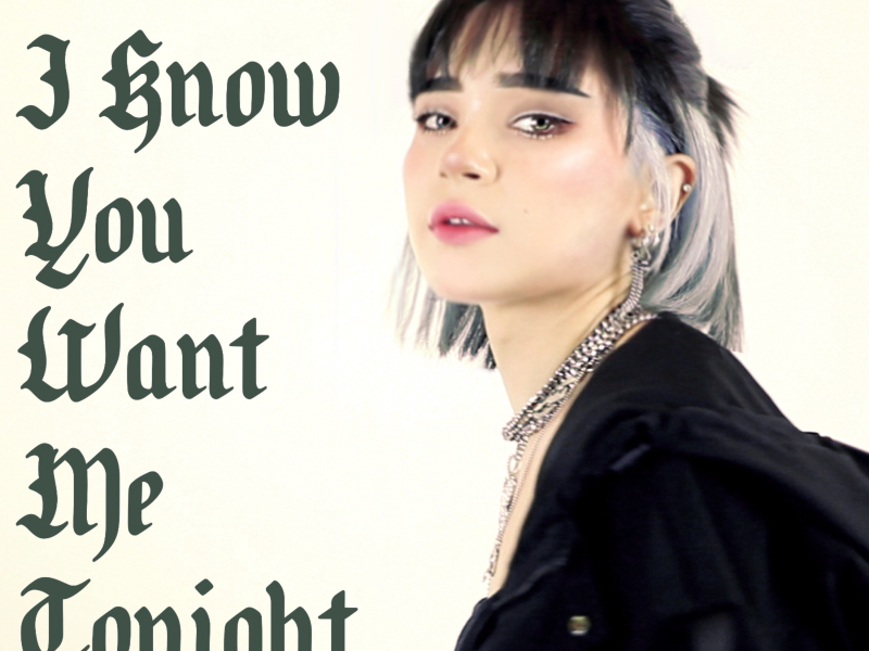 I Know You Want Me Tonight (Single)