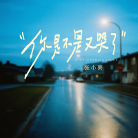 你是不是又哭了 (Single)