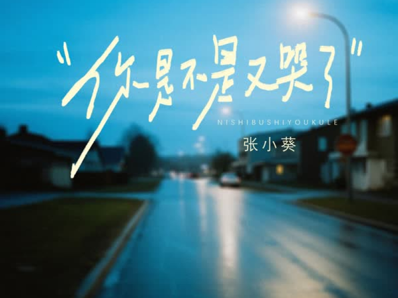 你是不是又哭了 (Single)