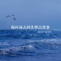 你应该去码头整点薯条 (我们该飞向何方) (Single)