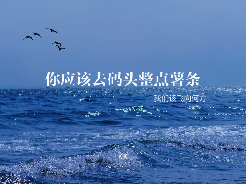 你应该去码头整点薯条 (我们该飞向何方) (Single)