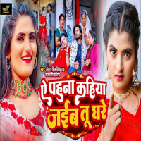 Ae Pahuna Kahiya Jaiba Tu Ghare (Single)