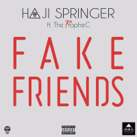 Fake Friends (Single)